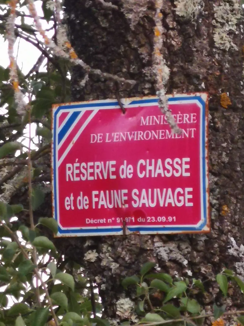 Rotes Schild „Réserve de chasse et de faune sauvage“ an einem Baum