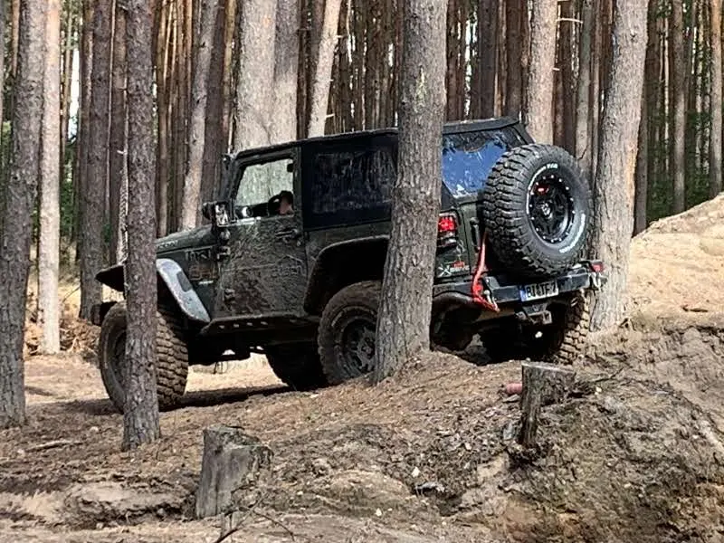 Schwarzer Jeep Wrangler zwischen Kiefern auf unebenem Waldboden