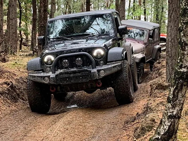 Schwarzer Jeep Wrangler mit Zusatzscheinwerfern im Waldgelände