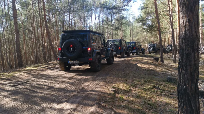 Kolonne von Jeeps auf einem Waldweg