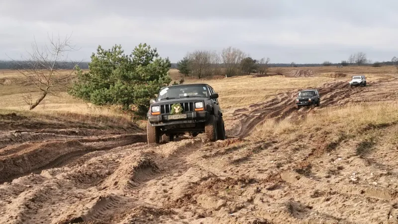 Jeeps fahren hintereinander durch eine Heidelandschaft mit Sandwegen