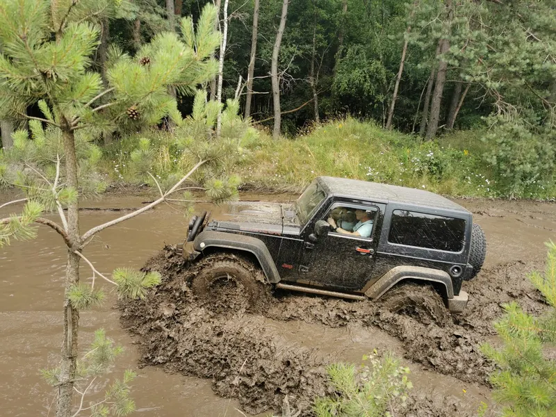 Schwarzer Jeep Wrangler steckt im Schlamm zwischen jungen Kiefern