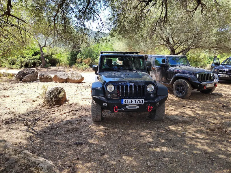 Jeep Wrangler auf einem schattigen Platz unter Olivenbäumen