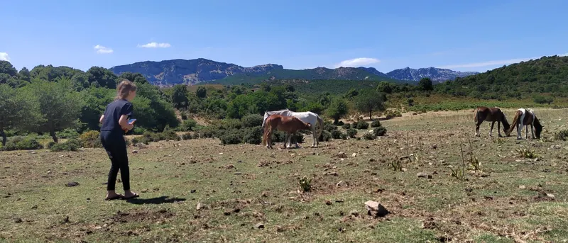 Teilnehmerin auf einer Weide mit Pferden, Berge im Hintergrund